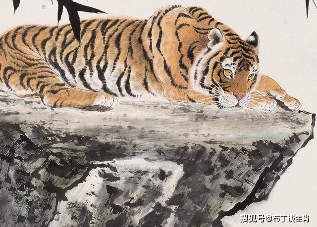 虎生肖与哪些生肖搭配能增加运势？——生肖运势解析及搭配指南